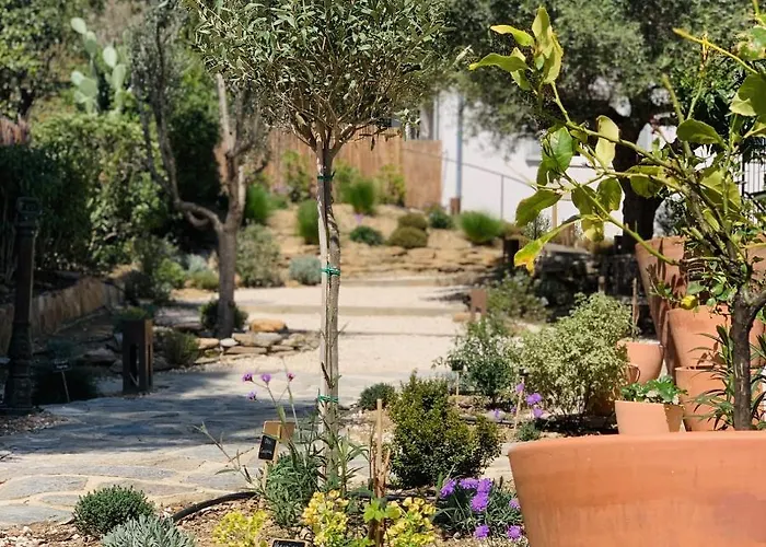 Le Rossignol 1, Aiguebelle *